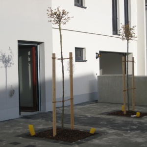 Gestaltung des Außenbereichs der Wohnanlage in Weiden, Hochstr. 10